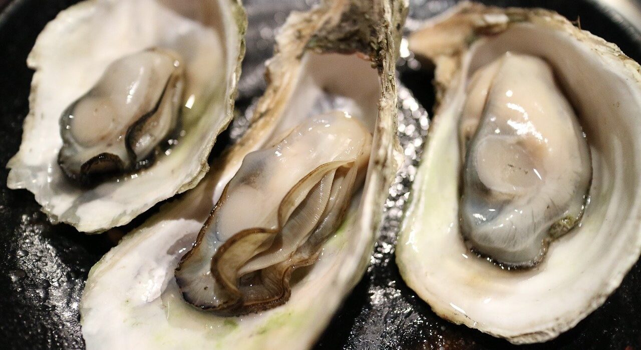 Oysters on the Half-Shell