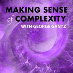 <strong>Making Sense of Complexity</strong>